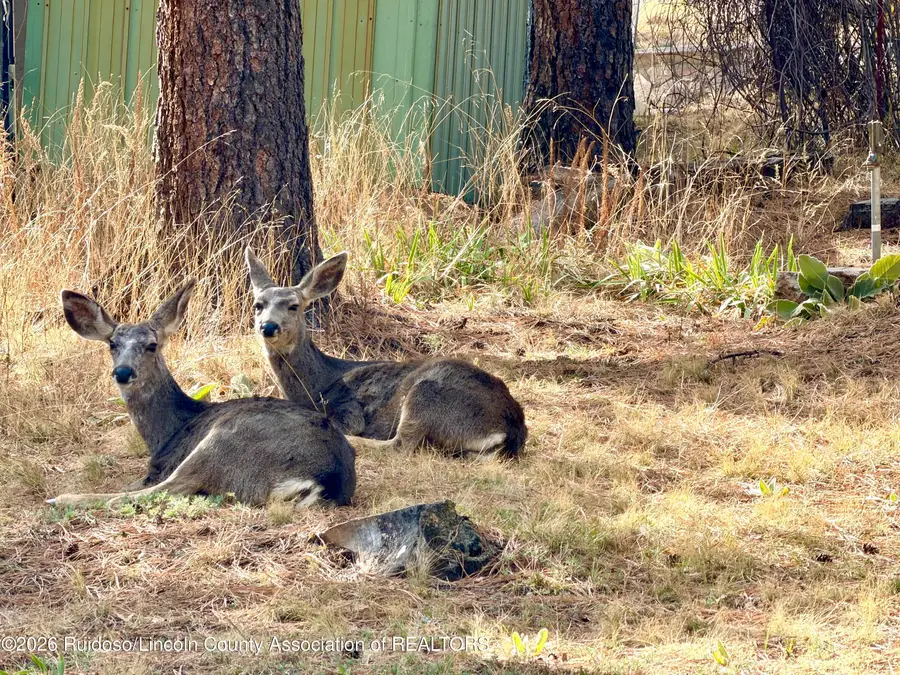 403 Grove Drive, Ruidoso, NM 88345 - #2