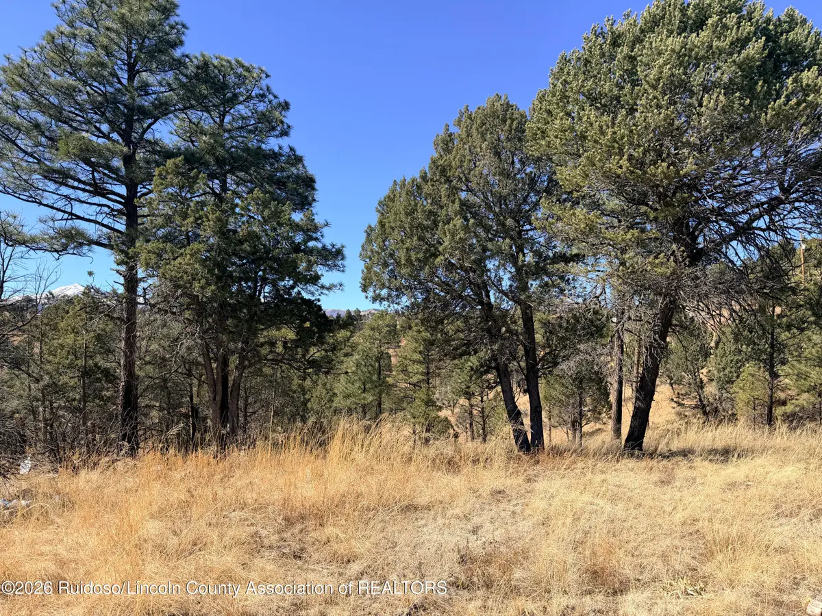 305 Valley View Drive, Ruidoso, NM 88345 - #1