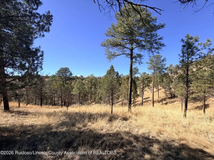305 Valley View Drive, Ruidoso, NM 88345 - #3