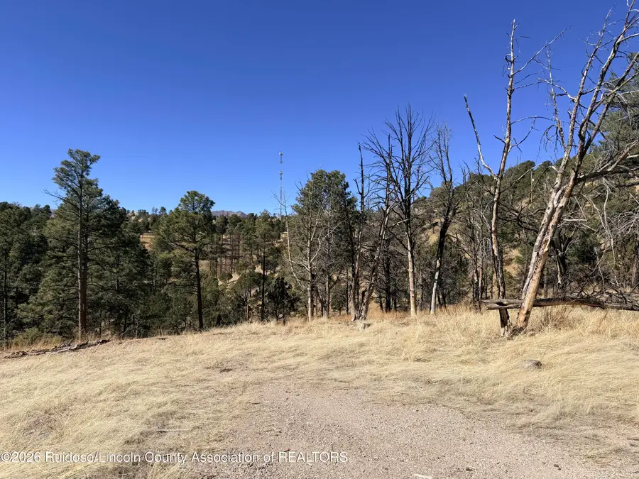 307 Valley View Drive, Ruidoso, NM 88345 - #3