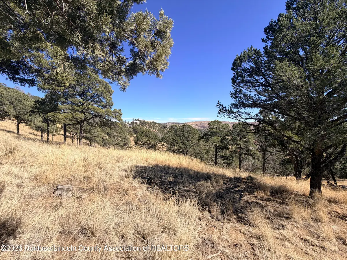 320 Valley View Drive, Ruidoso, NM 88345 - #1