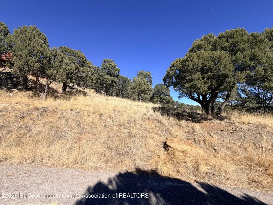 320 Valley View Drive, Ruidoso, NM 88345 - #2