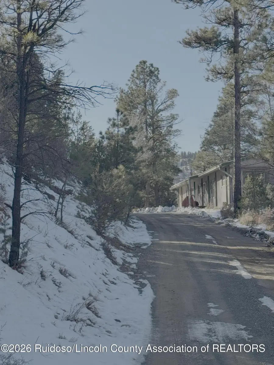 L40 Marijo Ln, Ruidoso, NM 88345 - #3