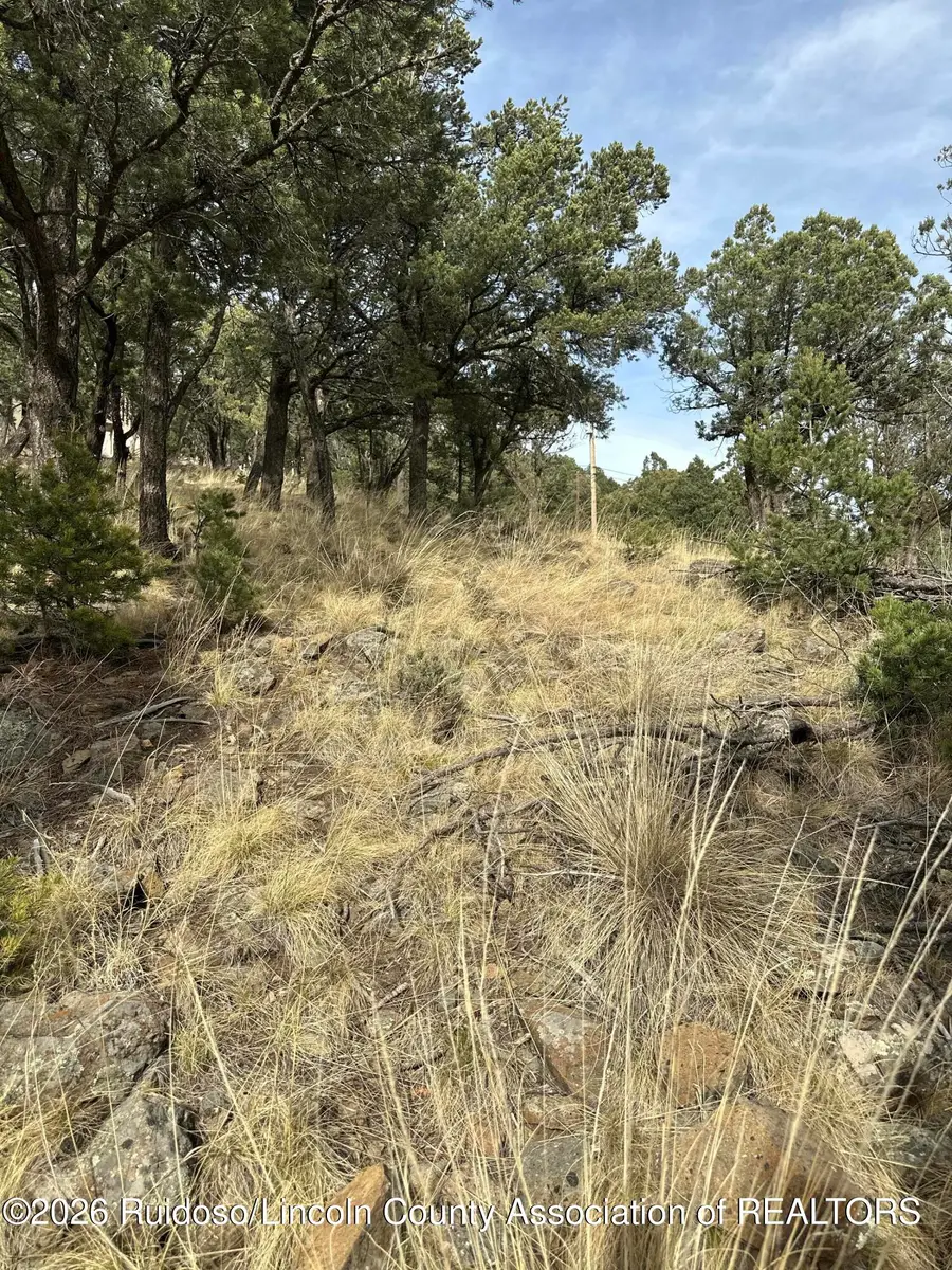 L71 Lake Shore Drive, Alto, NM 88312 - #2