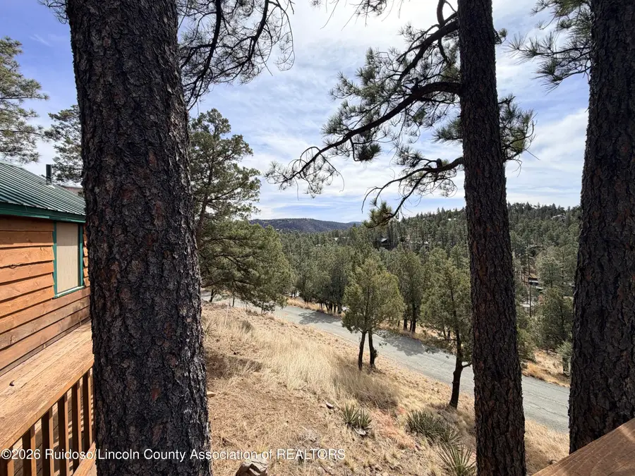 104 Pine Lodge Drive, Ruidoso, NM 88345 - #3