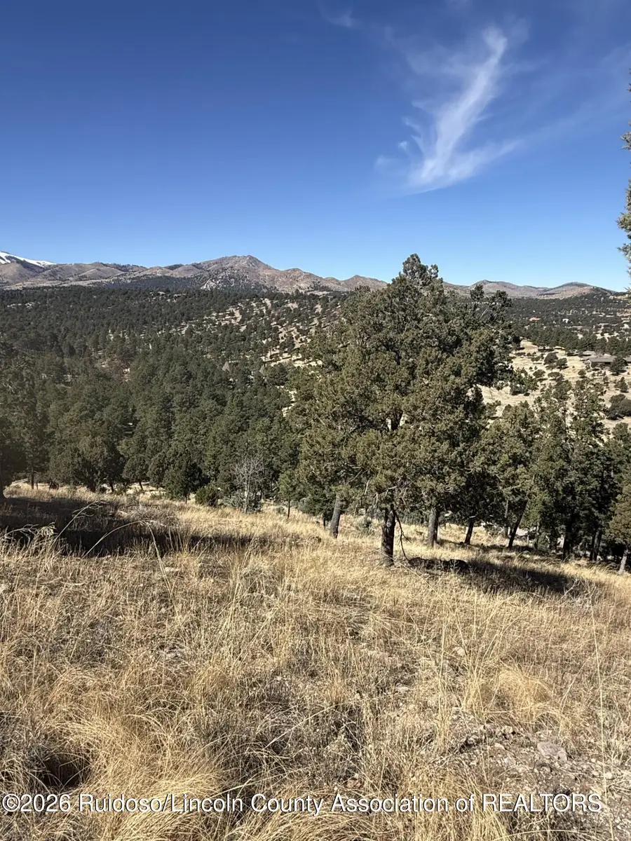 113 Holly Drive, Alto, NM 88312 - #2