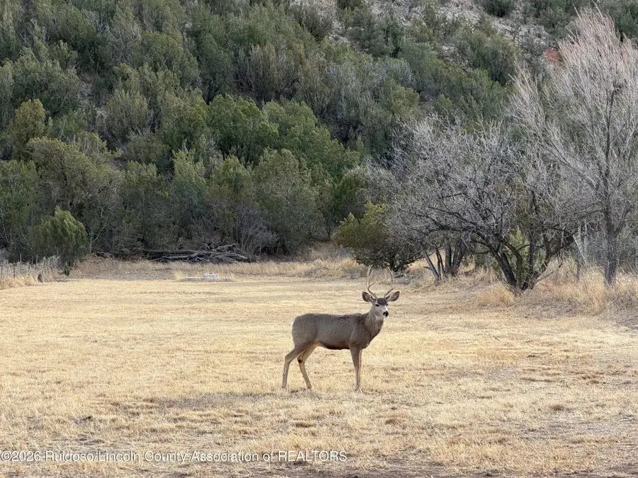 1240 Calle La Placita, Lincoln, NM 88338 - #2