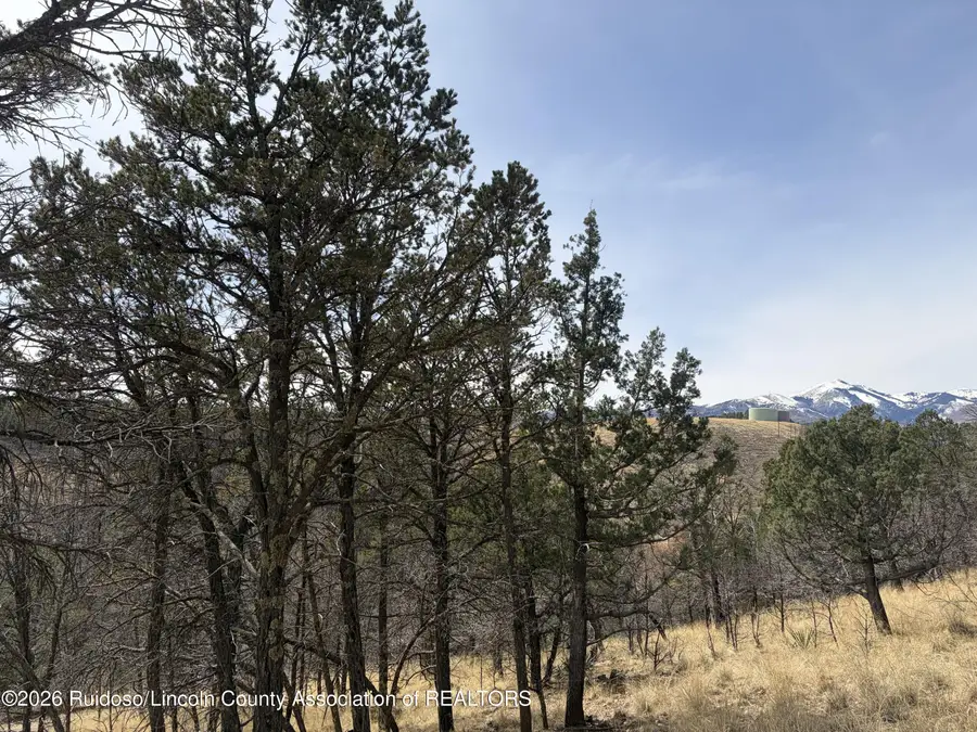 Lot 12 Encino Road, Alto, NM 88312 - #3