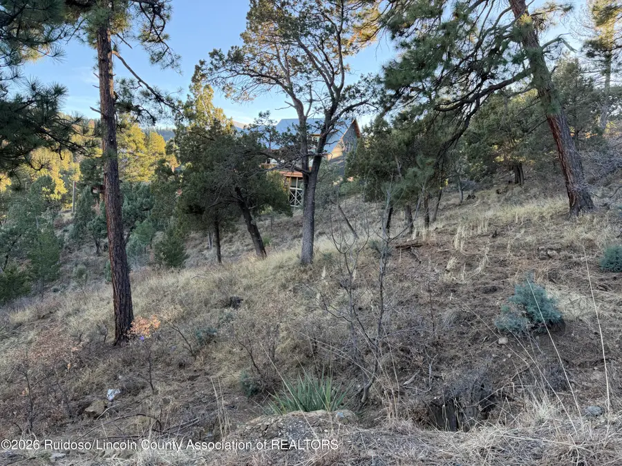 117 Westbury Drive, Ruidoso, NM 88345 - #2