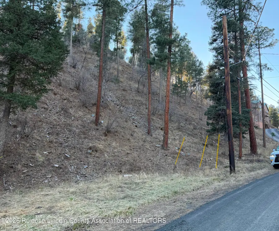 L 48 Flume Canyon Road, Ruidoso, NM 88345 - #2