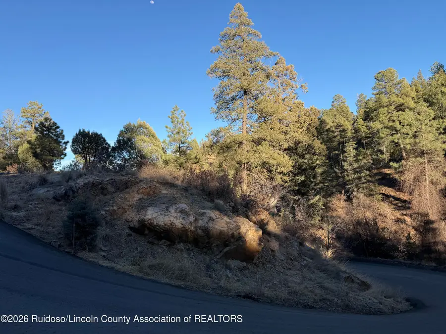 L13, L14 Windsor & Nottingham, Ruidoso, NM 88345 - #2