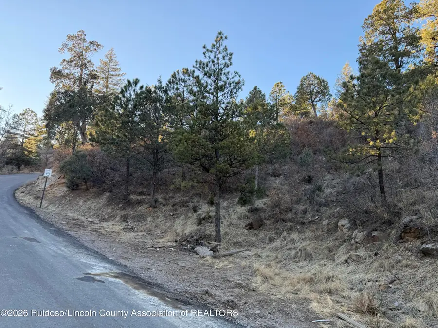 L13, L14 Windsor & Nottingham, Ruidoso, NM 88345 - #3