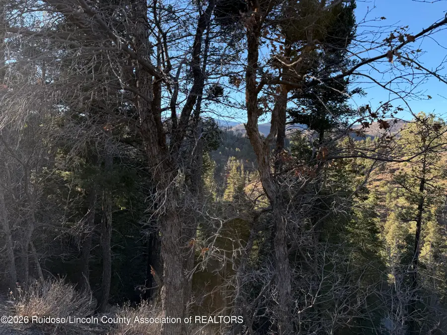 L7, L8, L9 King Richard Drive, Ruidoso, NM 88345 - #3