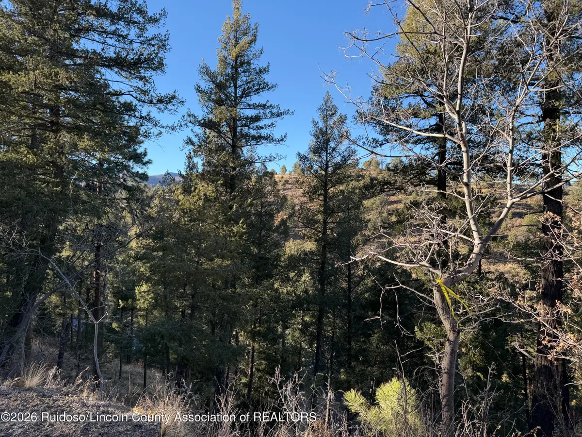 Lot 31 King Richard Drive, Ruidoso, NM 88345 - #1
