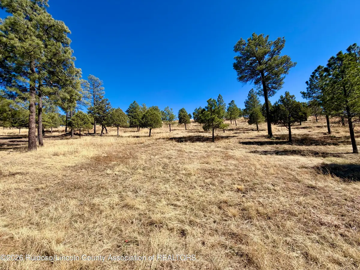 114 Charles Mcclellan Drive, Ruidoso, NM 88345 - #1