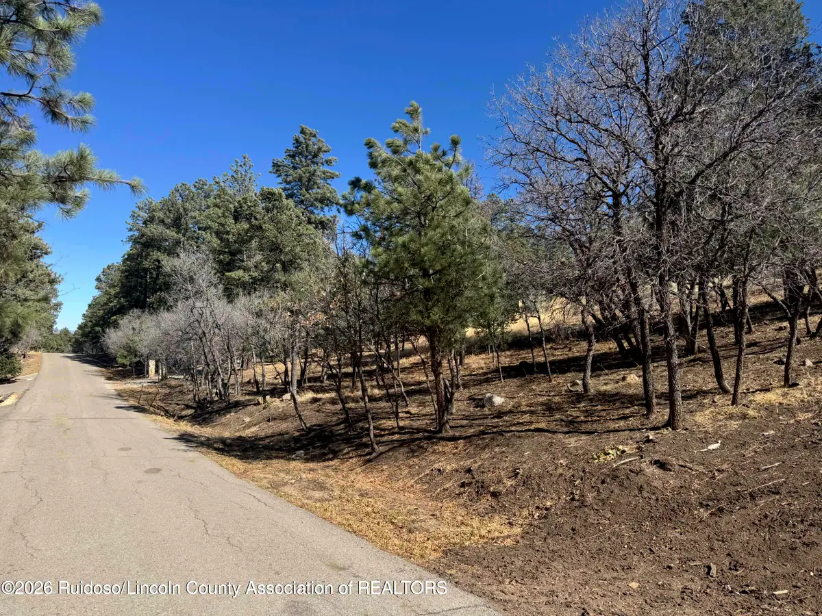 Lot 5 Del Monte Dr., Alto, NM 88312 - #1
