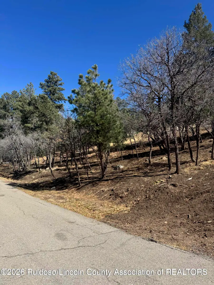Lot 5 Del Monte Dr., Alto, NM 88312 - #3