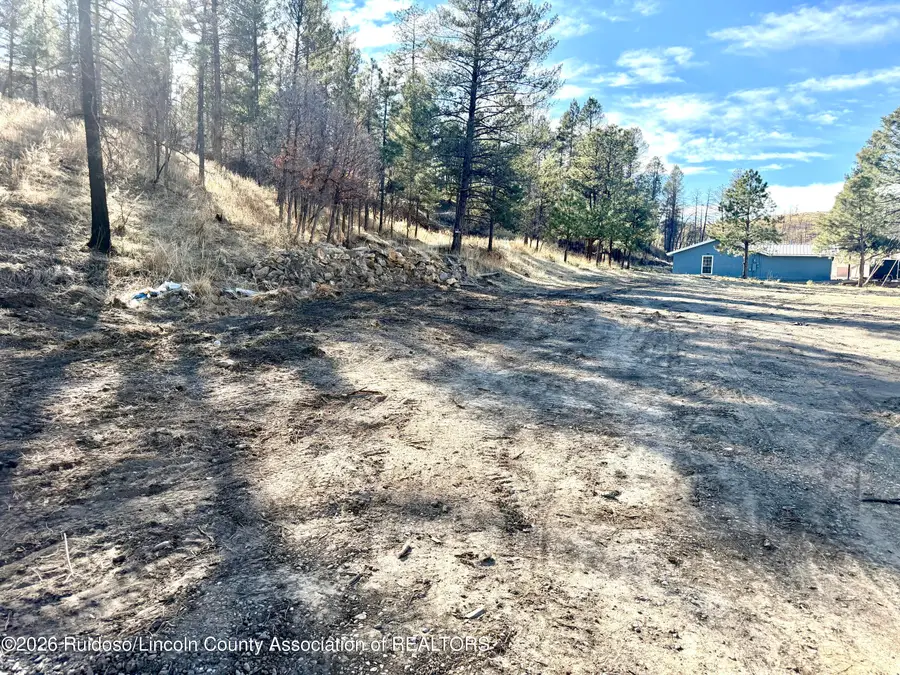 103 Alpine Village Road, Ruidoso, NM 88345 - #2