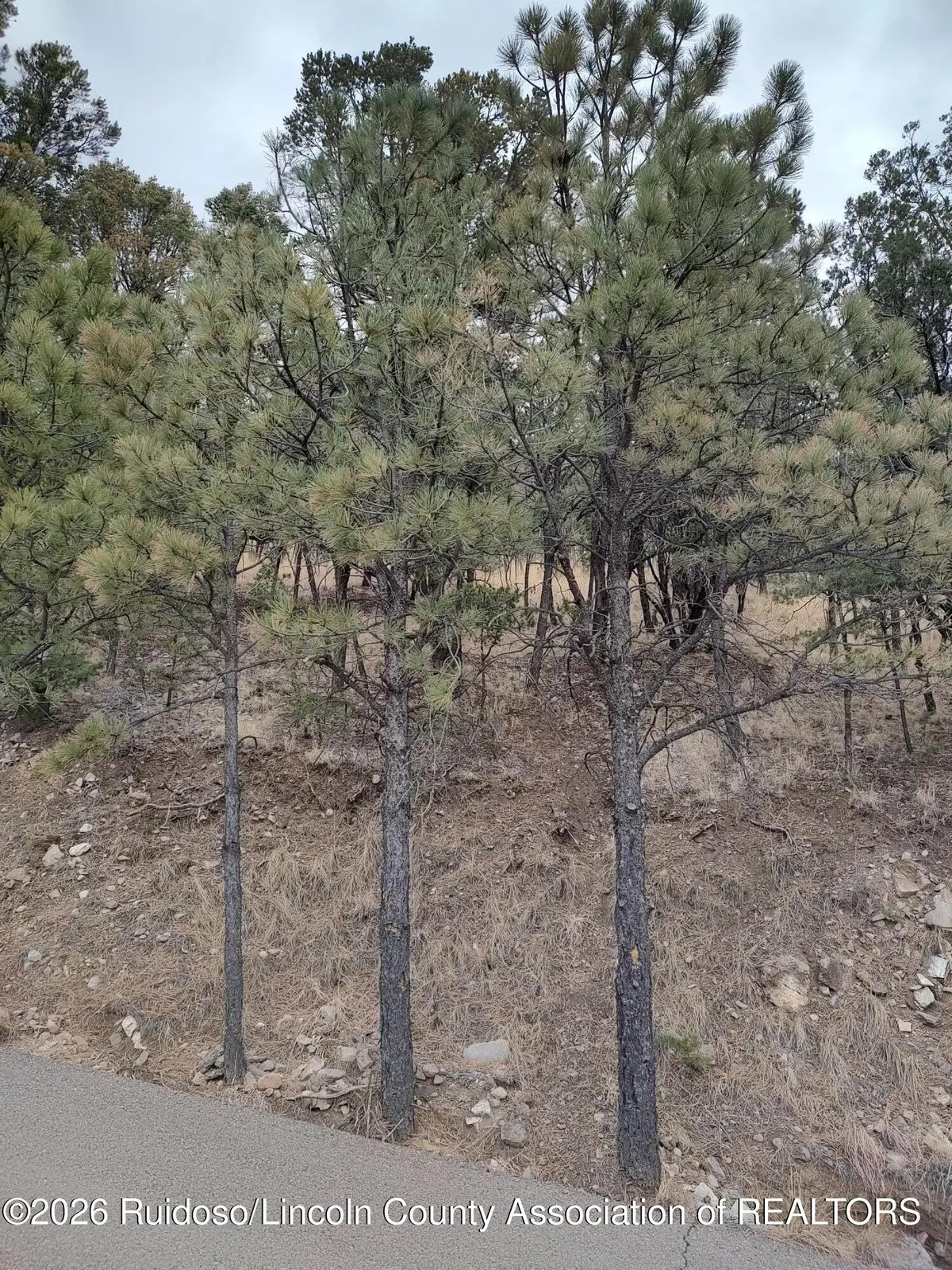 123 Deer Valley Drive, Alto, NM 88312 - #1