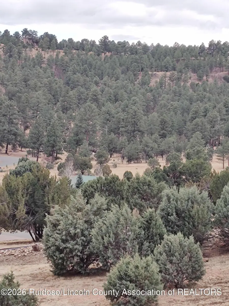 123 Deer Valley Drive, Alto, NM 88312 - #3
