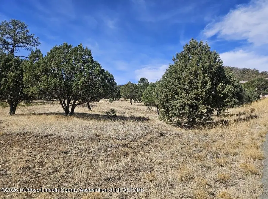 Lot 102 Deer Valley Drive, Alto, NM 88312 - #2