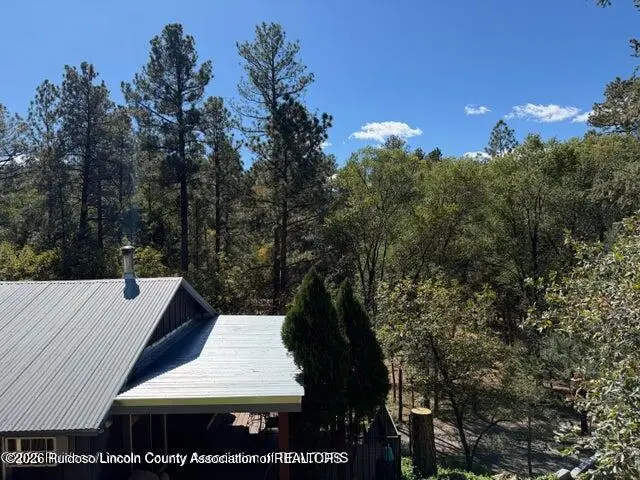 109 Mountain Trail, Ruidoso, NM 88345 - #2