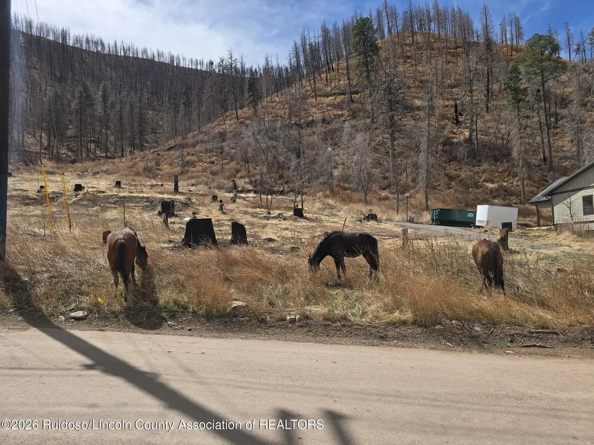 1133 Main Road, Ruidoso, NM 88345 - #1