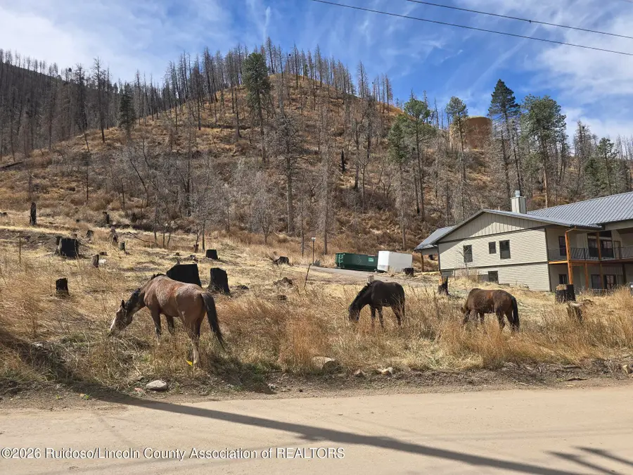 1133 Main Road, Ruidoso, NM 88345 - #2
