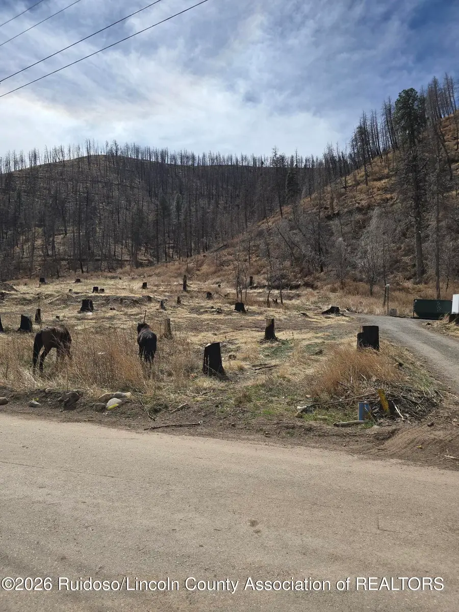 1133 Main Road, Ruidoso, NM 88345 - #3