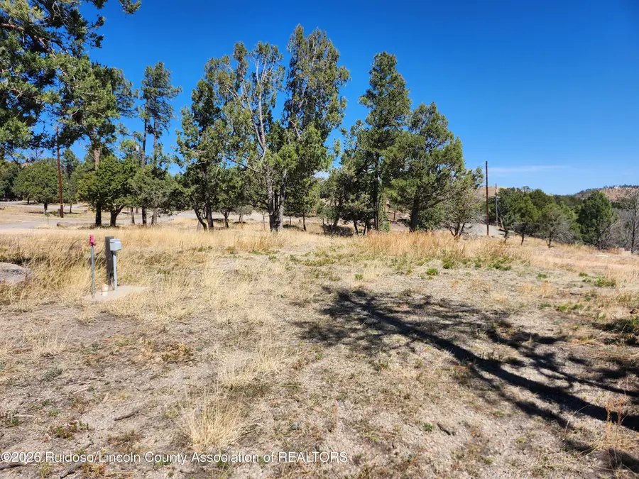 101 & 103 High Chaparral Place, Ruidoso, NM 88345 - #2