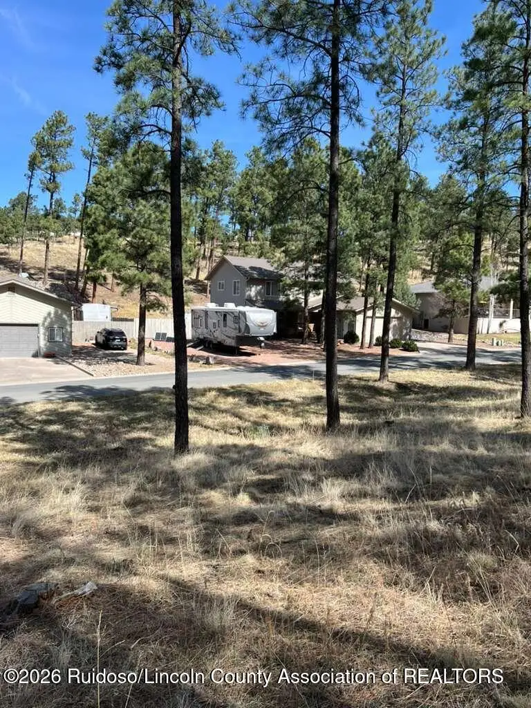 316 White Mountain Meadows Drive, Ruidoso, NM 88345 - #2