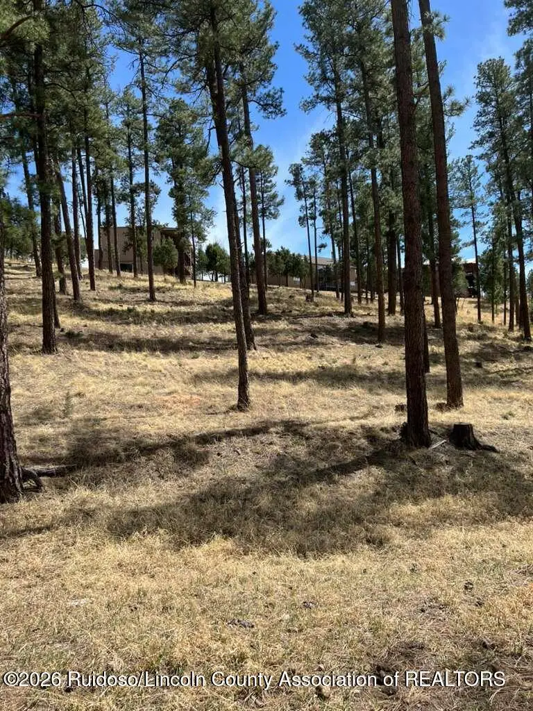 316 White Mountain Meadows Drive, Ruidoso, NM 88345 - #3