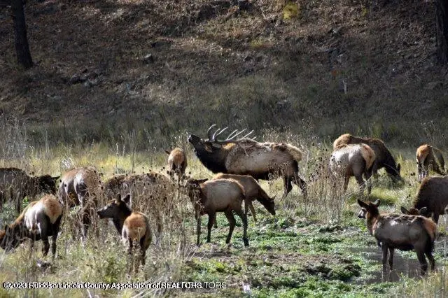 100 Sir Galahad Drive, Ruidoso, NM 88345 - #3