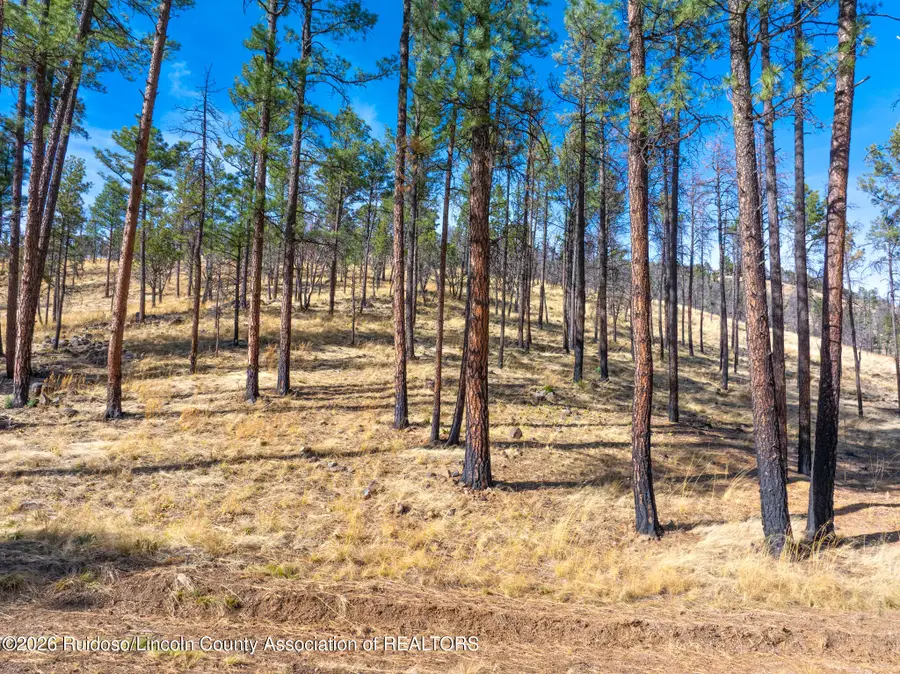 210 Deer Creek Road, Ruidoso, NM 88345 - #3
