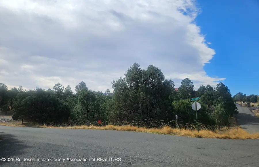 Lot 3 Eagle Ridge Road, Alto, NM 88312 - #2