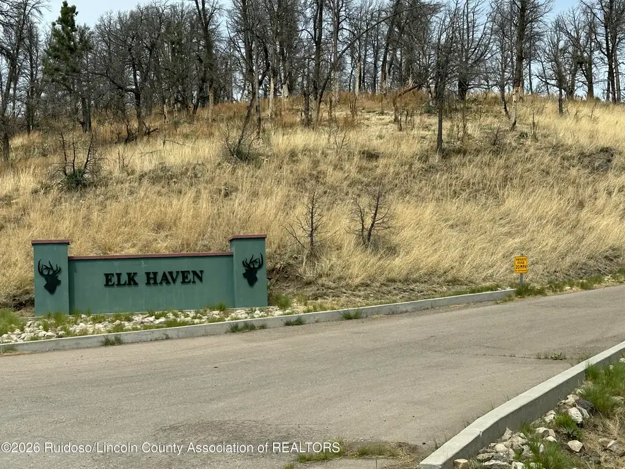 T3A-2 Horizon View Trail, Ruidoso, NM 88345 - #2