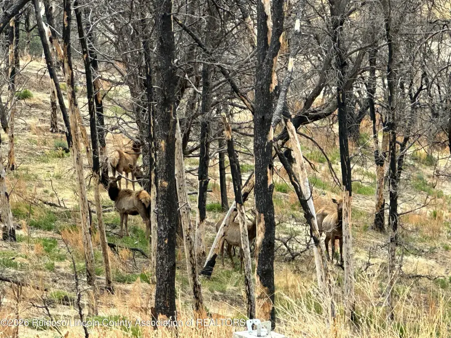 T3A-2 Horizon View Trail, Ruidoso, NM 88345 - #3