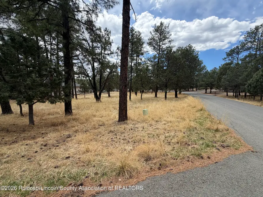 101 Mira Monte Road, Alto, NM 88312 - #2