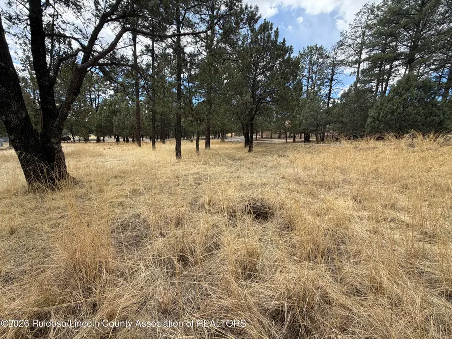 101 Mira Monte Road, Alto, NM 88312 - #3