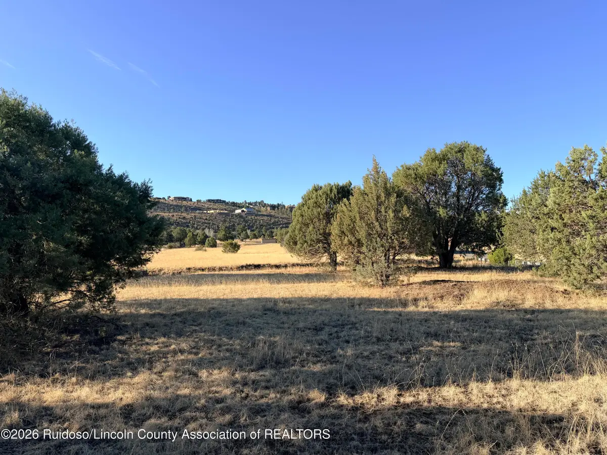 228 Antler Drive, Alto, NM 88312 - #1
