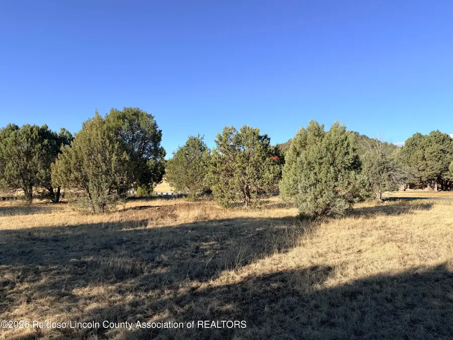 228 Antler Drive, Alto, NM 88312 - #3