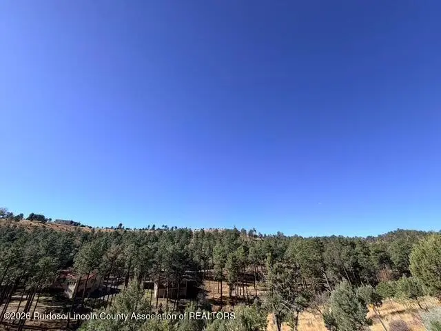 Lot 11 Stable Road, Alto, NM 88312 - #3