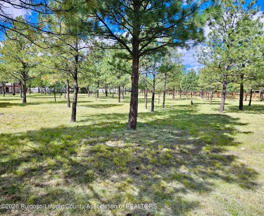 105 Goldenrod Lane, Alto, NM 88312 - #2