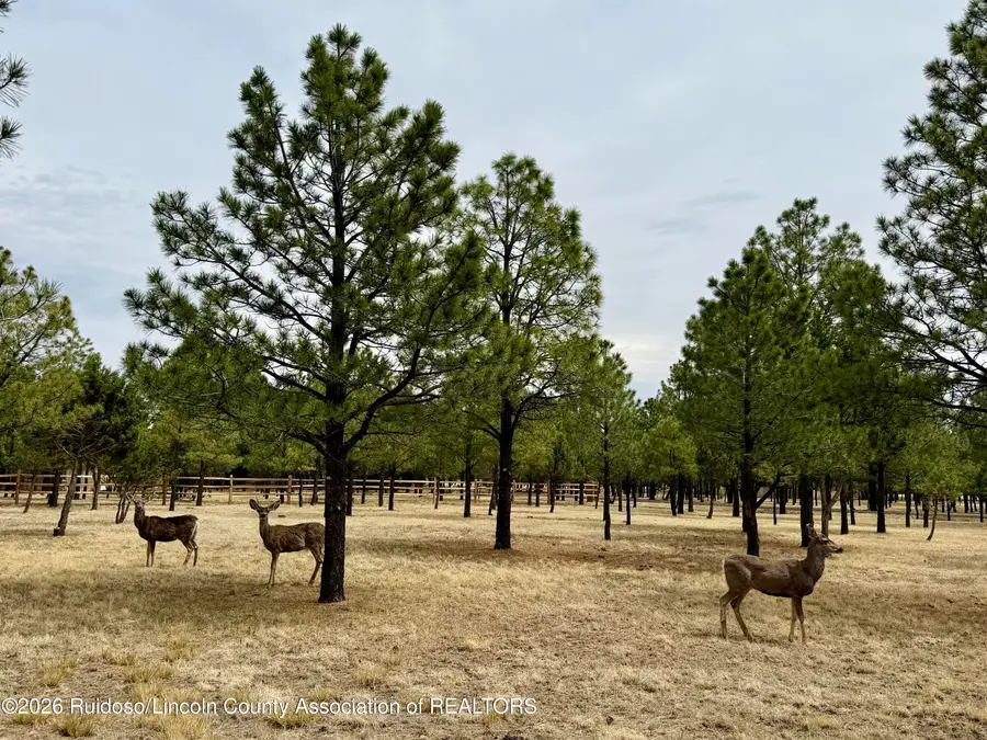 105 Goldenrod Lane, Alto, NM 88312 - #3