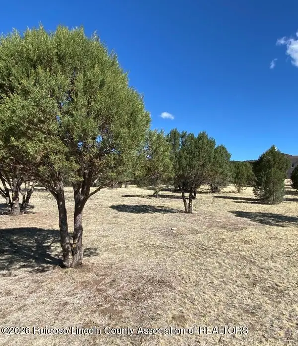 152 Reindeer Drive, Alto, NM 88312