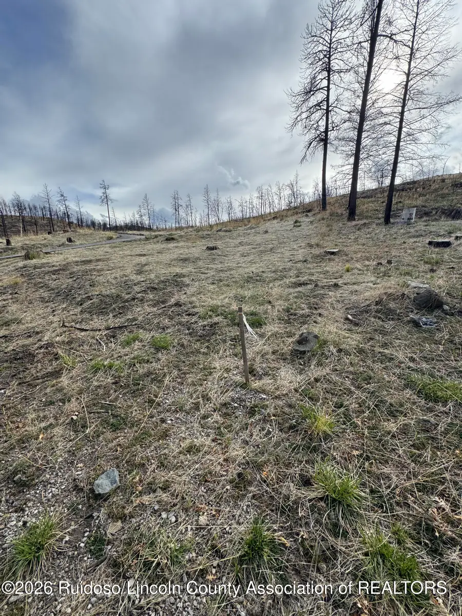 207 Sequoia Drive, Ruidoso, NM 88345 - #2