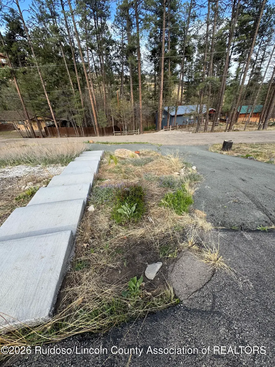 209 Sequoia Drive, Ruidoso, NM 88345 - #3
