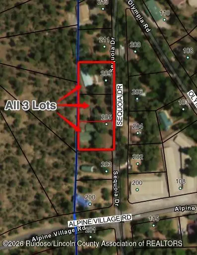 205-209 Sequoia Drive, Ruidoso, NM 88345 - #2