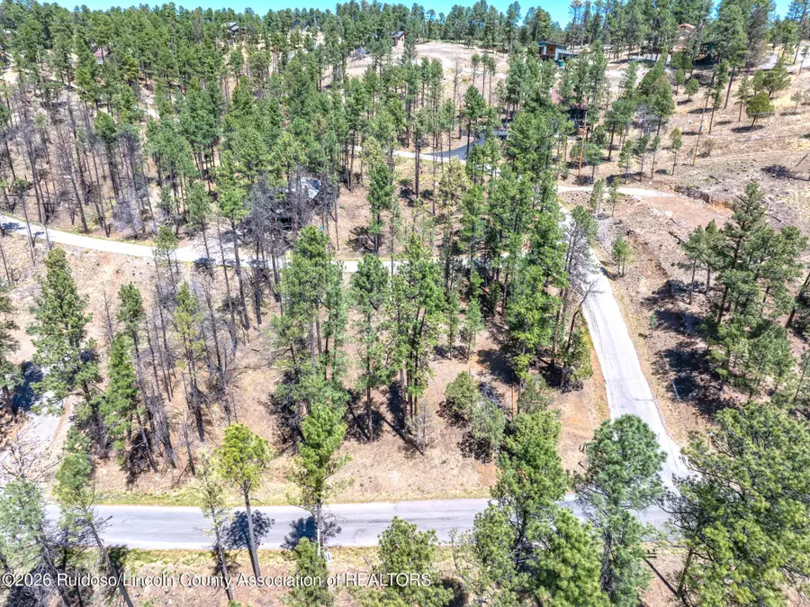 223 Lake Shore Drive, Alto, NM 88312 - #2