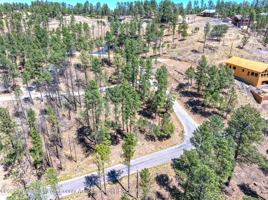 223 Lake Shore Drive, Alto, NM 88312 - #3